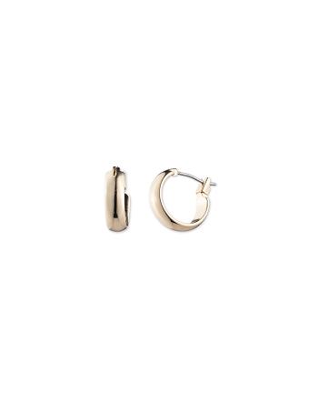 Anne Klein Mini Hoop Gold-Tone Pierced Earrings Gold | SGDYB74076